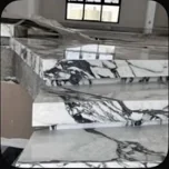 كالاكاتا فيولا