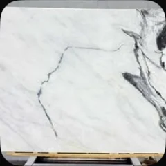 الباندا